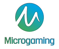 Microgaming software