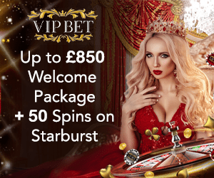 Vip Bet Casino