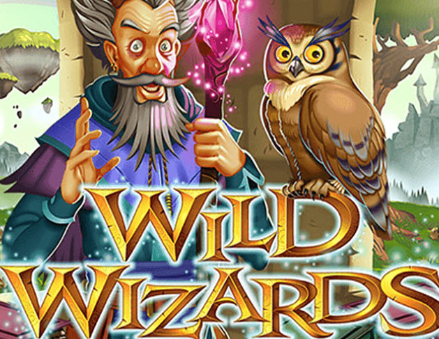 WILD WIZARDS