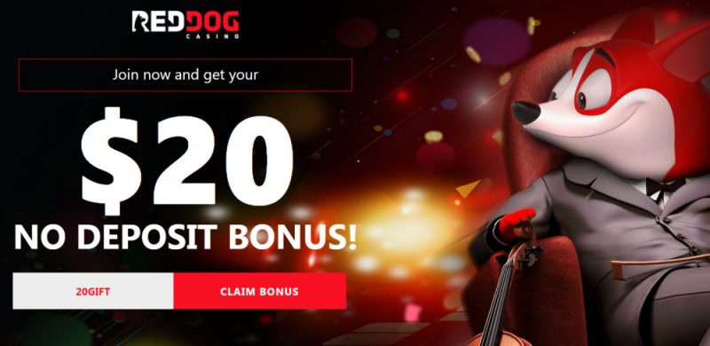 red dog casino bonus codes