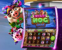 Wild Hog Luau slot